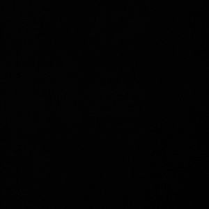 Meet your Posher, Ava